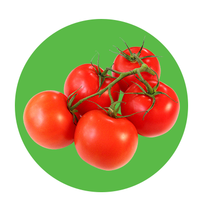 Tomatoes on the vine
