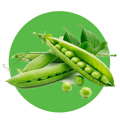 Fresh green peas